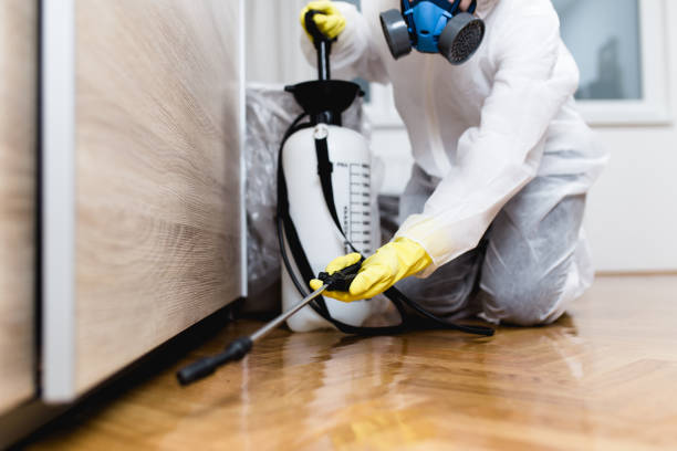 Best Affordable Pest Control Services  in Quakertown, PA