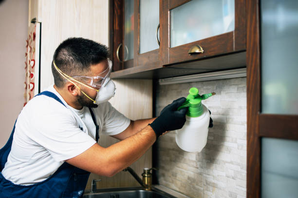 Quakertown, PA Pest Control Pros