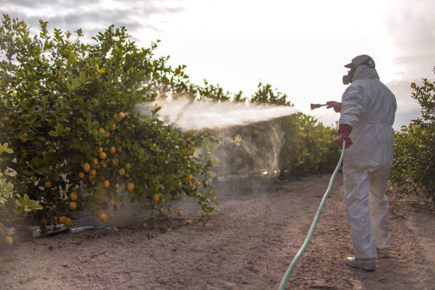 Best Best Pest Control Companies  in Quakertown, PA